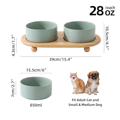 Havniva Raised Cat Bowl, 6.1” Elevated Ceramic Cat Food and Water Bowl Set | Cat Bowls Elevated, Whisker Friendly Cat Bowl, Non-Slip Wood Stand, Food-Grade Ceramic, Wide Opening, Dishwasher Safe - color: 2 x Bowl + Stand - Light Green, size: 6.1inch