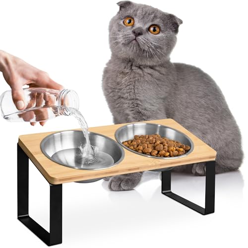 Raised cat Bowls for Indoor Cats by WinTruffles, Elevated cat Bowls, Tilted and Elevated Anti Vomiting Cat Dishes for Food and Water, Set of 2 Stainless Steel Bowl - color: 2 bowls
