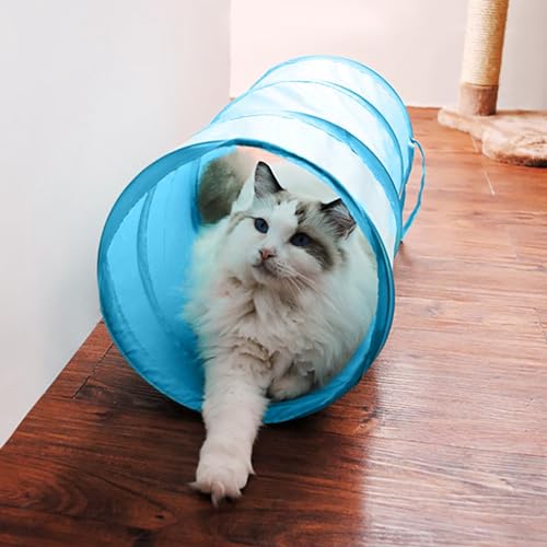 iCAGY Cat Tunnel for Indoor Small Cats Kittens Rabbits, Foldable Tube Toys | Interactive Pet Crinkle Pop Up Tunnel Play Toys, Relieve Cat Boredom, Light Pink 20" - color: Light Pink, size: 20 Inch (Pack of 1)