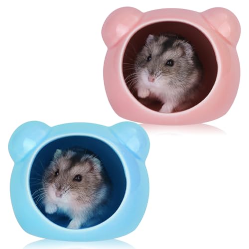 VanEnjoy 2 Pack Ceramic Hamster Hideout Red and Blue Small Animal Hides for Gerbils Mice Cute Summer Cooling Houses for Cage Accessories - color: Pink and blue