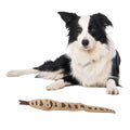 SPOT Skinneeez Leather Snake – 25in Stuffing-Free Dog Toy with Real Leather & 4 Squeakers, Durable Tug Toy for Light to Moderate Chewers, Great for Medium & Large Dogs - size: 25 Inch