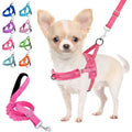 Lukovee Small Dog Harness and Leash Set, No Pull Soft Padded Vest | Both Neck & Chest Adjustable, Reflective, Puppy Harness with 4ft Lightweight Anti-Twist Dog Leash for Small Dogs (Pink, XS) - color: B-pink, size: XS ( Chest 14'' ~ 18'')