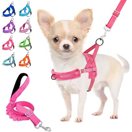 Lukovee Small Dog Harness and Leash Set, No Pull Soft Padded Vest | Both Neck & Chest Adjustable, Reflective, Puppy Harness with 4ft Lightweight Anti-Twist Dog Leash for Small Dogs (Pink, S) - color: B-pink, size: S ( Chest 17.5'' ~ 22'')