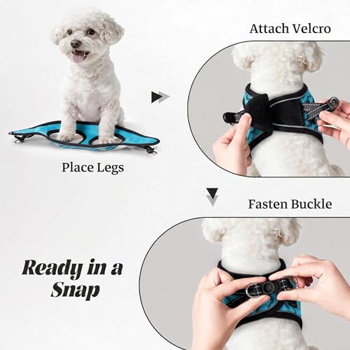 No Pull Dog Puppy Harness and Leash Set Reflective Mesh Vest XX-Small - color: Blue, size: XX-Small (Pack of 1)