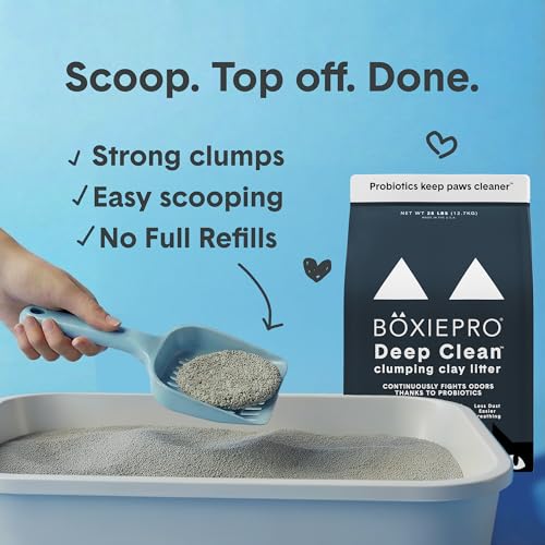 Boxie Probiotic Clumping Cat Litter 40+ Day Odor Control Dust Free 40 lb - size: 40 lb