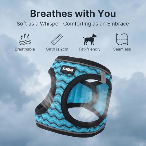 No Pull Dog Puppy Harness and Leash Set Reflective Mesh Vest X-Small - color: Blue, size: X-Small (Pack of 1)