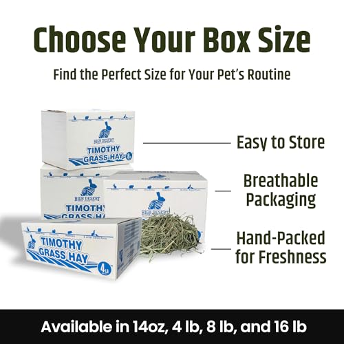 High Desert 2nd Cutting Timothy Hay for Rabbits, Guinea Pigs, Chinchillas and Small Pets, Soft Leafy for Daily Feeding and Digestive Health, Natural Rabbit Food and Guinea Pig Hay for Hay, 8 Lb Box | Soft Leafy Texture With Balanced Fiber, Supports Health