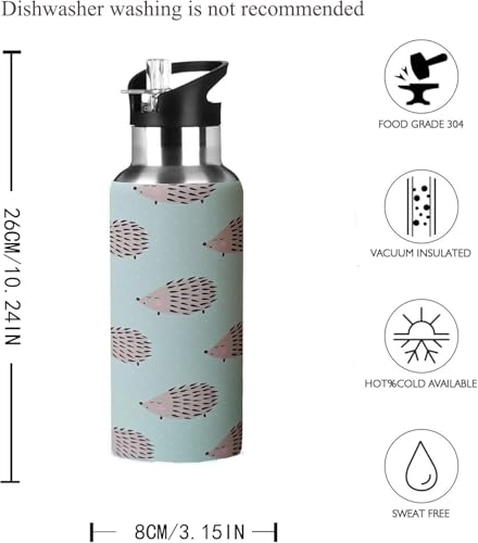 Kids Water Bottle with Straw,Hedgehog Bottle Vacuum Insulated Stainless Steel Travel Mugs Tumbler For Sport School Outdoor 20 oz - color: Blue Hedgehog