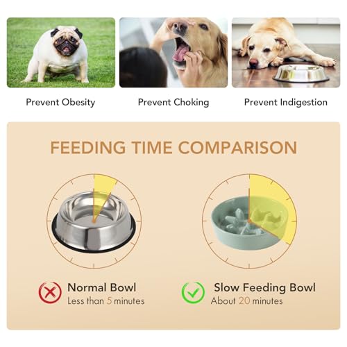 Havniva Elevated Slow Feeder Dog Bowls, Ceramic Dog Bowl Slow Feeder Set | 1.2 Cups Raised Slow Feeder Dog Bowl for Small Breed, 6.1” Dog Water Bowl with Wooden Stand, Puzzle Dog Food Bowl, Non-slip - color: Light Green