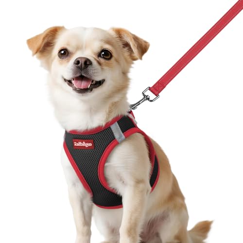 rabbitgoo Dog Harness Small Sized and Leash Set, Step in Soft Vest | Breathable Mesh, Easy Wear with Hook & Loop, Light and Reflective for Walking, Multi-colored, Black & Red, XXS - color: Black & Red, size: XXS (Chest: 12.4"-14.2")