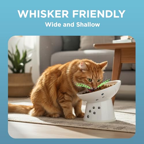 Necoichi Ceramic Elevated Cat Food Bowl, 15° Tilted (Cat, Regular Tilted) - color: Cat, size: Regular Tilted
