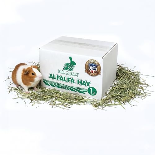 High Desert Alfalfa Hay for Young Rabbits and Guinea Pigs, 1 lb Box | Protein Rich Soft Leaf Forage, Ideal For Growing Kits And Nursing Mothers, Great Calcium Source, Hand Packed Fresh, Low Dust - size: 1 Pound (Pack of 1)