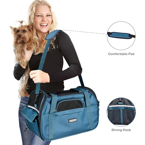 JESPET Soft-Sided Kennel Pet Carrier for Small Dogs, Cats, Puppy, Airline Approved Cat Carriers Dog Carrier Collapsible, Travel Handbag & Car Seat (Teal Blue, 19" L x 10" W x 13" H) - color: Teal Blue, size: 19.0"L x 10.0"W x 13.0"H