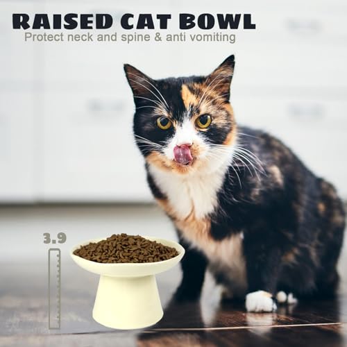 Wide Shallow 6.1" Raised Cat Bowls, Ceramic Elevated Food Plate for Flat Faced Cats and Small Dogs, Porcelain Feeder Bowl, Stress Free, Protect Cat’s Spine, Cream - color: Cream-Shallow