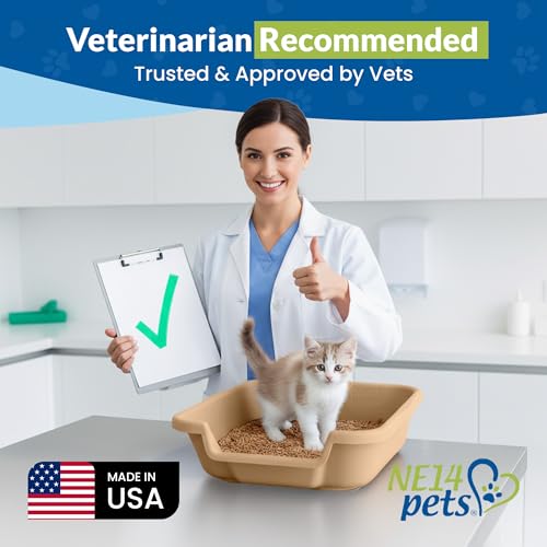 KittyGohere Senior Cat Litter Box Small with Scoop, Beach Sand | Open Top Low Entrance Kitty Litter Box With With Long-handle Jumbo Scoop, Lightweight & Durable Litters Box, Made in USA - color: Beach Sand, size: Small with Scoop