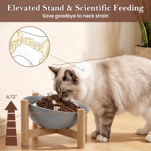 15° Slanted Rim Ceramic Cat Bowl, Anti-Spill for Small Cats | Food-safe Ceramic with Wooden Stand,Ergonomic Tilt Relieves Neck Strain,Anti-Vomiting,Prevents Whisker Fatigue,Gray - color: Gray
