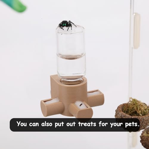 Jumping Spider Water Dispenser, Magnetic Hanging Feeder,Suitable for Jumping Spiders,Tarantulas, Praying Mantises,Arboreal Animals, and Other Small Animal Enclosure Accessories,5ML (White) - color: White