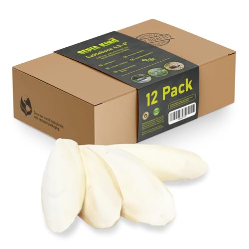 Sepia King - Medium - 100% Natural Calcium Supplement - Premium Cuttlebone Perfect for Birds, Tortoises, Snails, Reptiles - 12 Pack