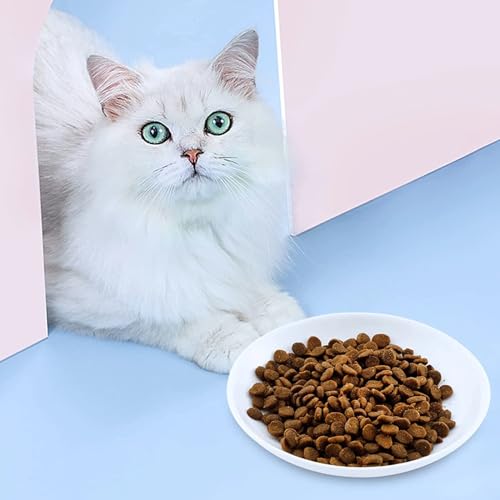 2 Ceramic Cat Bowls, 5.9 Inch Wide Shallow Feeding Dishes for Dry/Wet Food | Reduces whisker contact; lead-free; holds water too; dishwasher safe; stable heavy design; fits cats and small dogs - color: 2 Fish bone