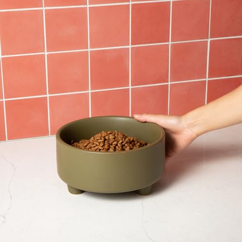 Waggo Uplift Ceramic Dog Bowl for Small Medium and Large Breeds - Heavyweight and Durable Pet Food and Water Dish Crock, Dishwasher Safe, Modern, Elevated Feeder (Olive, Small) - color: Olive, size: Small