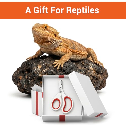 Bearded Dragon Nail Clippers, Stainless Steel Pet Nail Clippers, Reptile Nail Clippers Grooming Tool for Bearded Dragons, Small Animals, Reptile Care Supplies