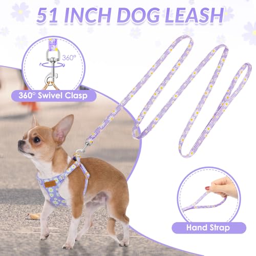 Lukovee Puppy Harness and Leash Set, No Pull, Lightweight Step in Vest | Adjustable, Soft Suede Vest, Easy Put on and off Pet Harness with Snap Buckle & 51in Leash for Small Medium Dogs (Purple, XS) - color: Purple Daisy, size: X-Small ( 5.5-11lb )