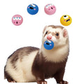 Ferret Rubber Squeaker Toy Balls Latex Puppy Cat Toy Lovely Interactive Play Tough Teething Toys Big Eyes Printed Ball Washable 4 Pack (4 Pcs)