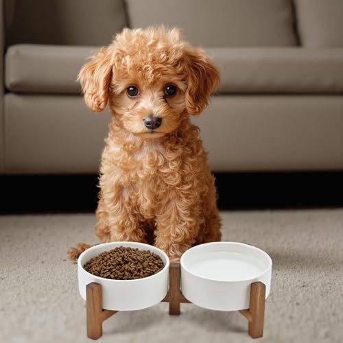 SPUNKYJUNKY Ceramic Dog Bowls with Acacia Wood Stand - Raised Dog Food and Water Bowl Set for Small Dogs (13.52 OZ, White) - color: White, size: 13.52 Oz