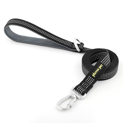 Plutus Pet Heavy Duty Dog Leash with Lockable Aluminum Carabiner, 4 FT Long | Double-Sided Reflective Nylon, Padded Handle, Heavy Duty, for Puppy Small Medium and Large Dogs (Black, 1" x 4') - color: Black, size: 1" x 4'
