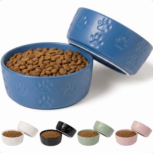 Ceramic Dog Bowl Set of 2 with Anti-Skid Base, 5.5"W x 2"H, 2 Cup Capacity | Thick Ceramic, Dishwasher Safe, Anti-Skid Rubber Base, 2 Cups per Bowl, Ceramic Food and Water Bowls Set of 2 for Small Dogs - color: Blue, size: Small