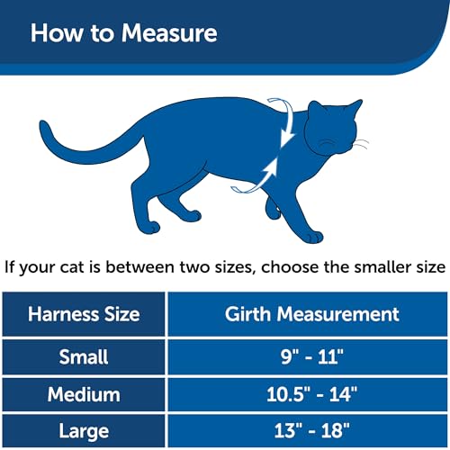 PetSafe Come with Me Kitty Harness and Bungee Cat Leash, Lilac, Small | Adjustable 2-Point Fit Applies Gentle Pressure to Shoulders, Not Neck, for Kittens and Small Cats with 9 in - 11 in Girth - color: Lilac/Deep Purple, size: Small (Pack of 1)