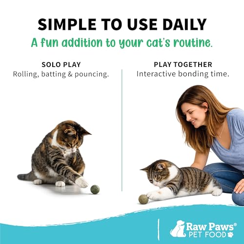 Raw Paws Catnip Balls for Cats (6-Count) - Interactive Indoor Cat Toy | Natural Compressed Natural Catnip - Cat Lick Balls - Catnip Roller Balls - Play & Enrichment Toy - Fresh Dried - No Additives