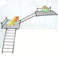 BNOSDM Stainless Steel Grid Platform for Parakeet 4 PCS Bird Perches Platform Parrot Stand with Climbing Ladder Bird Cage Accessories for Small to Large Birds (L)