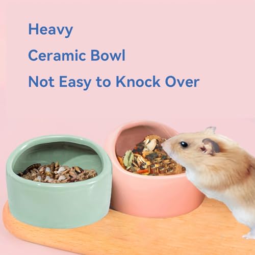 JSLZF Ceramic Hamster Bowl Small Rat Food Bowl Hamster Dish Prevent Knocking Over, Food Splashing and Chewing Feeding Dish for Gerbil Chinchilla Rat (3 PCS)