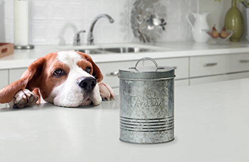 Amici Pet, , Retro Treats Galvanized Relief Lettering Metal Storage Canister, Food Safe, Push Top, 72 Ounces - size: Large/72 oz