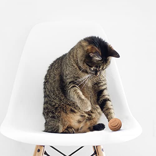 Cat Ball Toys by Americat – Made in USA – Safe Cardboard Cat Toys – for Interactive and Independent Play, Exercise & Stress Relief for All Breeds & Ages (Variety Pack of 3 Balls) - style: Variety Pack