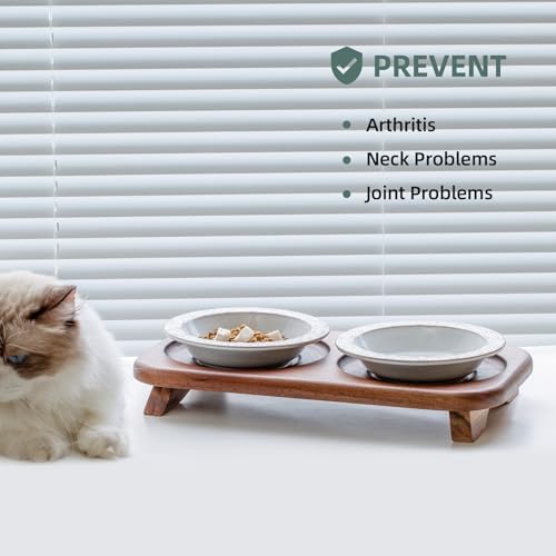Havniva Ceramic Cat Food Bowl, 6.1" Raised Cat Bowls with Acacia Wood Stand | Elevated Cat Bowls, Whisker Friendly, Extra Wide Opening, Aesthetic Cat Dishes, Elegant Pet Bowls, Food-grade Ceramic, Kitten - color: 2 Dishes+Stand- Arctic White