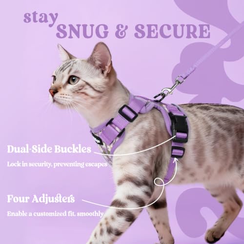 rabbitgoo Cat Harness and Leash Set, Escape Proof Vest, Purr-ple Daisy | Soft Breathable Mesh, Easy Adjustable Fit, Snap Buckles, Sturdy Clip, Reflective Strips, for Kittens & Small Cats Walks, Xxs - color: Purr-ple Daisy, size: Xxs