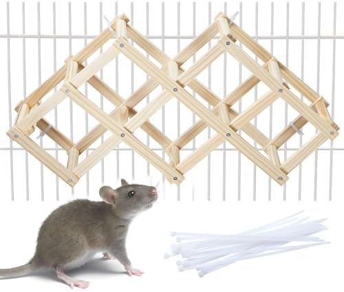 Kiln-Dried Wood Rat Climb Toy, Hanging Cage Ladder Activity (M, 1Pc) | Natural Rat Cage Bridge, Multiple Openings & Directional Ramps Offer Challenges to Satisfy Rats' Instincts for Explore & Play - style: M, 1pc