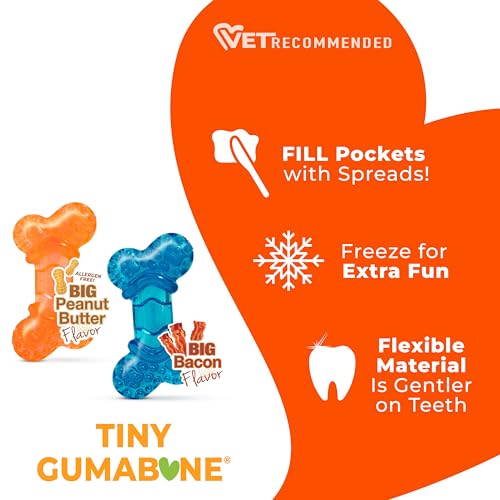 Nylabone Flexi Chew Tiny Gumabone Dog Chew Toys, XX-Small, 2 Count | Peanut butter & bacon flavor, x-small breeds, flexible material, fill with treats, gentle on teeth, for dogs up to 15 lbs