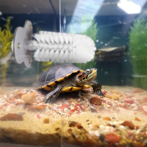 Turtle Brush with Suction Cup for Tank, Three High Suction Power Suction Cup Turtle Shell Cleaning Brush, White - color: White