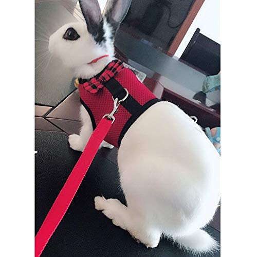 Rabbit Harness with Leash Adjustable Soft Mesh Vest Harness for Bunny Kitten Guinea Pig Rat (L, Red) - color: Red, size: L