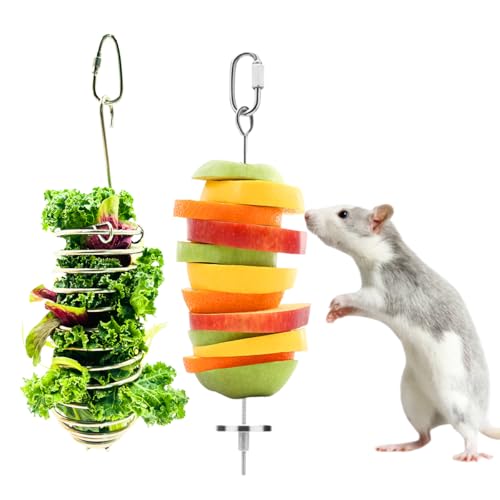 Rat Toys 2 Pack Cage Accessories, 304 Stainless Steel Veggie Fruit Slow Feeder Hanging Holder, Rodent Toys Foraging Enrichment Stuff for Bird, Fancy Mice, Hamster, Guinea Pig, Chinchilla Squirrel