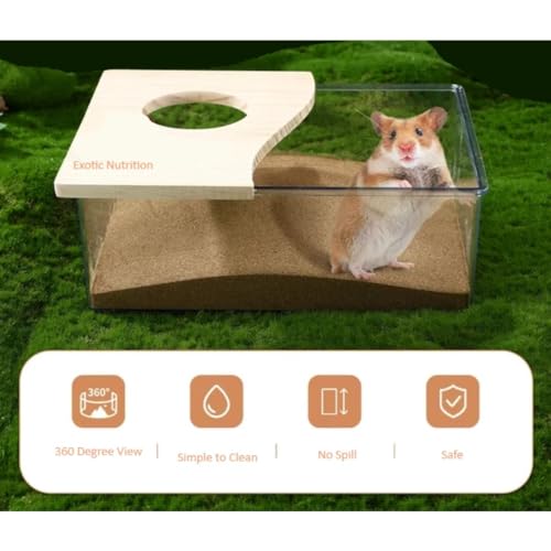 Exotic Nutrition Acrylic Sand Bath House - Fun & Unique Cage Accessory for Hamsters, Gerbils, Chinchillas, and Degus (Small) - size: Small