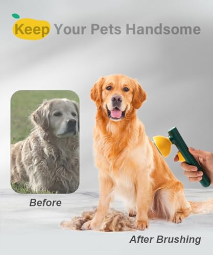 Cat Brush for Shedding, Mango Cat Brushes with Gentle Bristles and Release Button, Gentle Self Cleaning Pet Brush for Indoor Cats and Dogs Daily Grooming Tool During Shedding Season - color: Dark Mangop