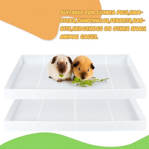 Wenqik 2 Pcs Guinea Pig Cage Liner Corrugated Plastic Cage Liner Base 2 x 4 Panel Size Guinea Pig Cage Bottom for Small Animals Hedgehogs Rabbits Cages Tray, 55 x 27 Inch(White) - color: White