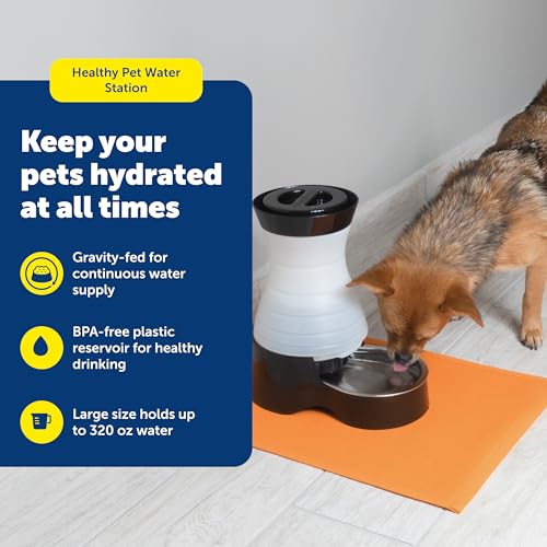 PetSafe Healthy Pet Water Station, 320 oz, Stainless Steel Bowl, Large | Gravity-Fed Pet Water Fountain Keeps Cats or Small Dogs Hydrated, Stainless Steel Bowl Is Dishwasher Safe - size: Large