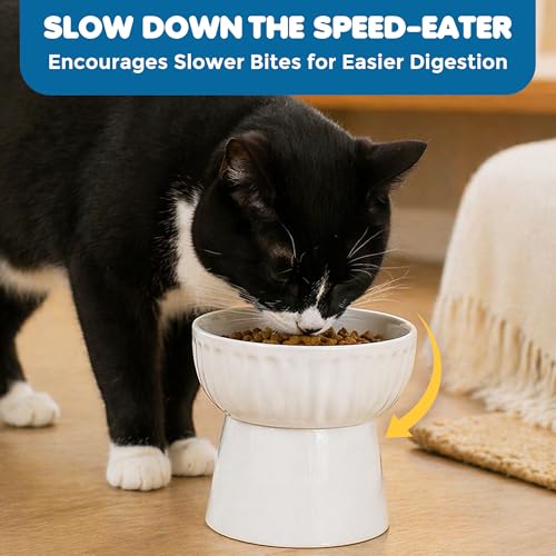 SunGrow Ceramic Cat Bowl with Stand, Suitable Eating Height for Pets, Raised Food Bowl, Mealtime for Your Cats, Stoneware Feeding Station
