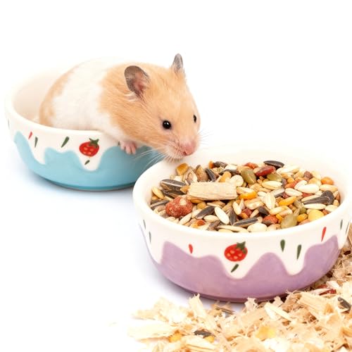 Wontee Hamster Food Bowl 2 Pack Ceramic Food Water Bowl Anti-Tipping for Dwarf Hamsters Gerbil Mice Hedgehog Guinea Pig (Blue+Purple) - color: Blue+Purple