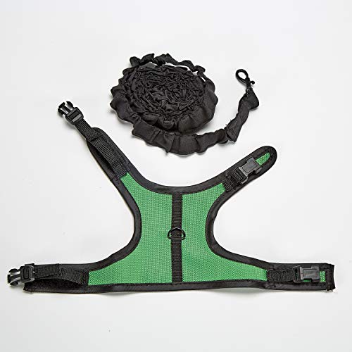 Kaytee Comfort Harness & Stretchy Leash, Medium (Pack of 3) - size: Medium (Pack of 3)